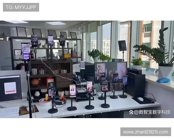 发现直播：探索网络直播的无限可能